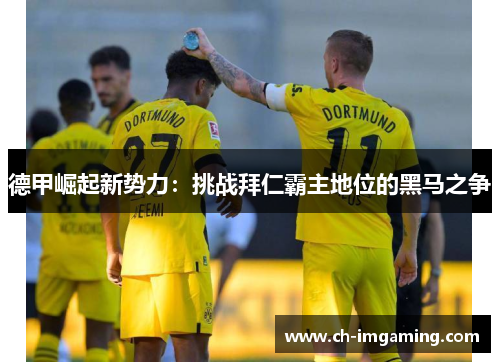 德甲崛起新势力：挑战拜仁霸主地位的黑马之争