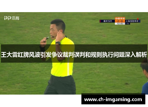 王大雷红牌风波引发争议裁判误判和规则执行问题深入解析