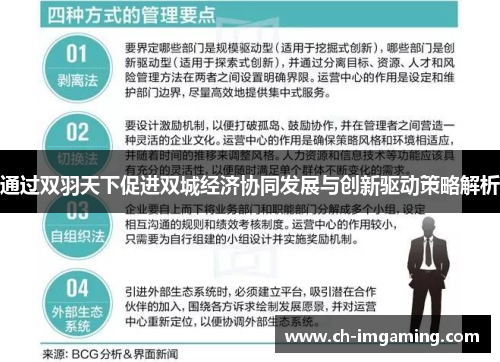 通过双羽天下促进双城经济协同发展与创新驱动策略解析