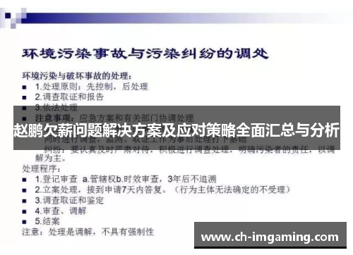 赵鹏欠薪问题解决方案及应对策略全面汇总与分析