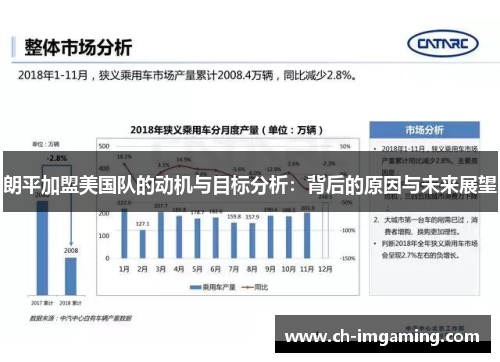 朗平加盟美国队的动机与目标分析：背后的原因与未来展望