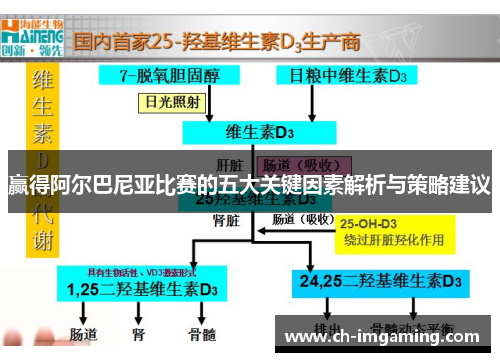 赢得阿尔巴尼亚比赛的五大关键因素解析与策略建议